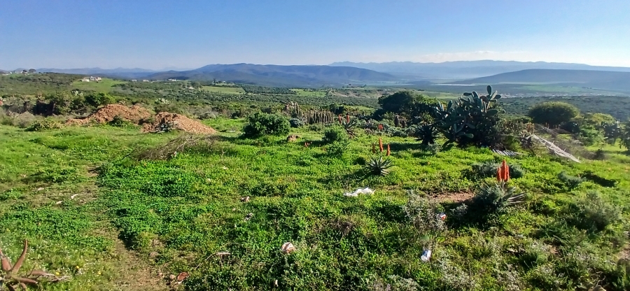 3 Bedroom Property for Sale in Uitenhage Rural Eastern Cape